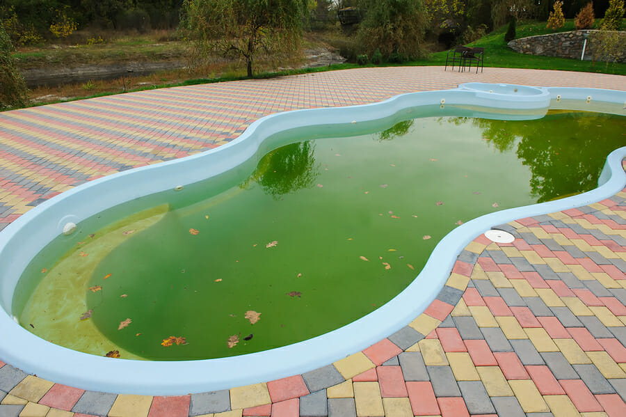 can-you-swim-in-a-green-pool-total-pool-service-redlands